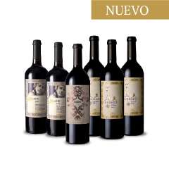 Malbec Box II x6